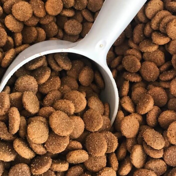 Comida para mascotas